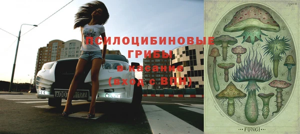стаф Кинешма